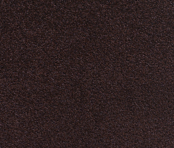 Concept 505 - 253 | Teppichböden | Carpet Concept