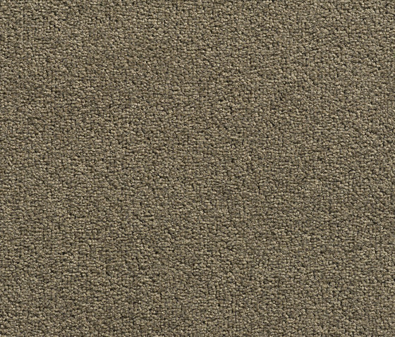 Concept 505 - 115 | Wall-to-wall carpets | Carpet Concept
