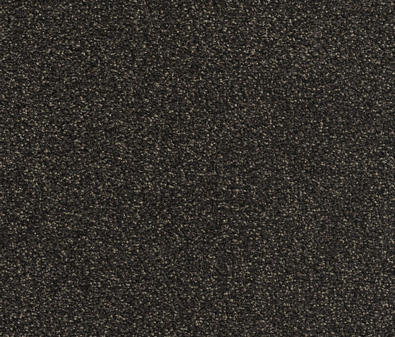 Concept 505 - 317 | Teppichböden | Carpet Concept