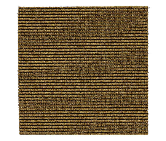 Alfa | Brass 660155 | Wall-to-wall carpets | Kasthall