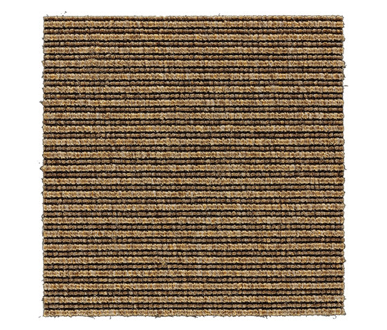 Beta | Golden 670005 | Wall-to-wall carpets | Kasthall