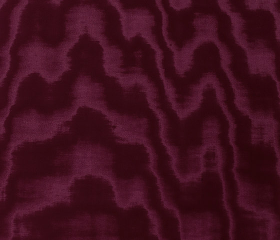 Amoir Libre col. 003 | Upholstery fabrics | Dedar