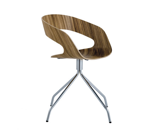 Chat swivel chair | Chaises | Plycollection