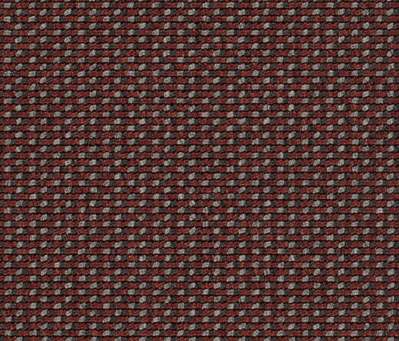 Lay 1896 | Teppichböden | Carpet Concept