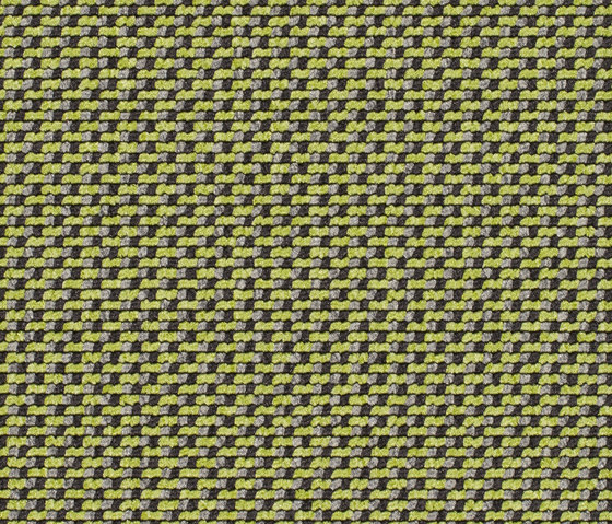 Lay 3772 | Moquette | Carpet Concept