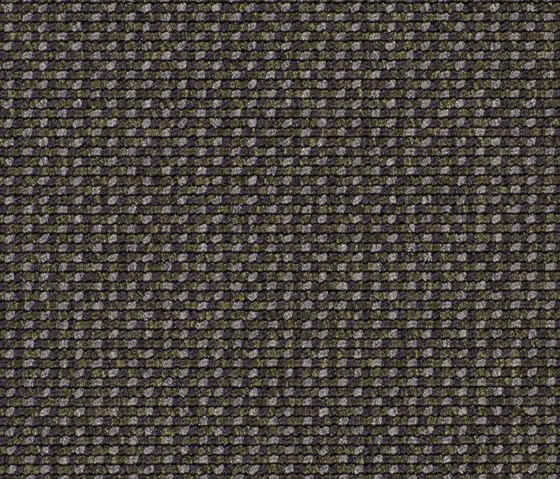 Lay 6949 | Teppichböden | Carpet Concept