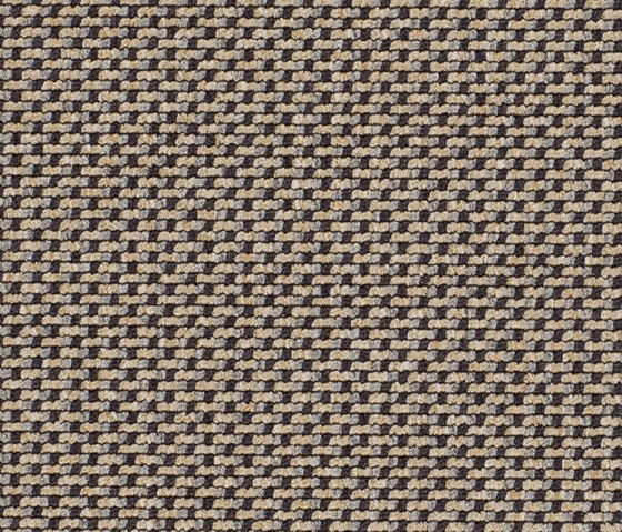 Lay 6955 | Moquette | Carpet Concept