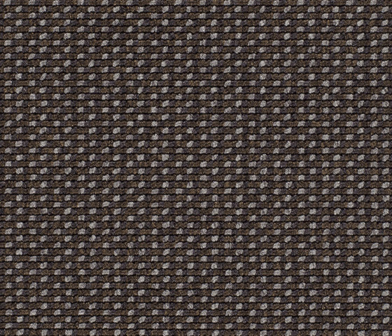 Lay 6964 | Teppichböden | Carpet Concept