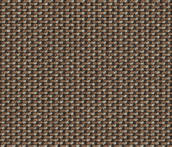 Lay 6965 | Teppichböden | Carpet Concept