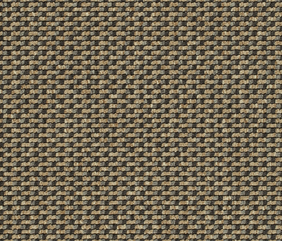 Lay 7155 | Moquette | Carpet Concept