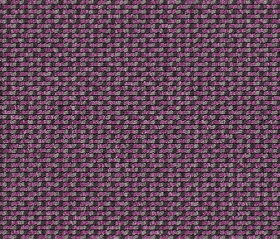 Lay 8213 | Moquette | Carpet Concept