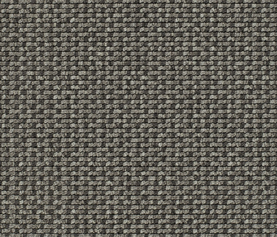 Lay 53370 | Teppichböden | Carpet Concept