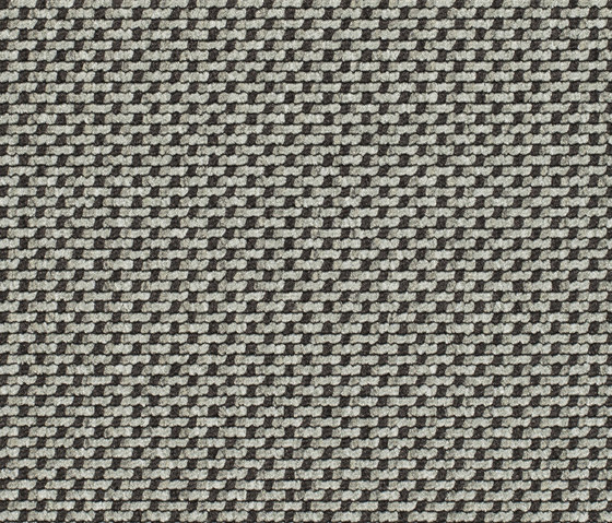 Lay 53371 | Moquette | Carpet Concept