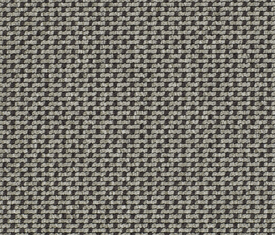 Lay 53408 | Moquetas | Carpet Concept