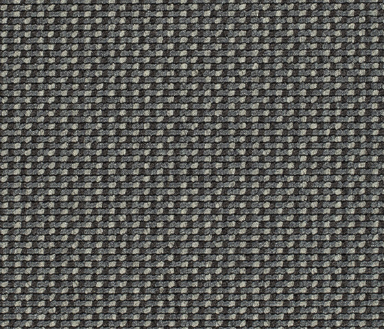Lay 53419 | Moquette | Carpet Concept