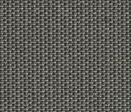 Lay 53423 | Moquetas | Carpet Concept