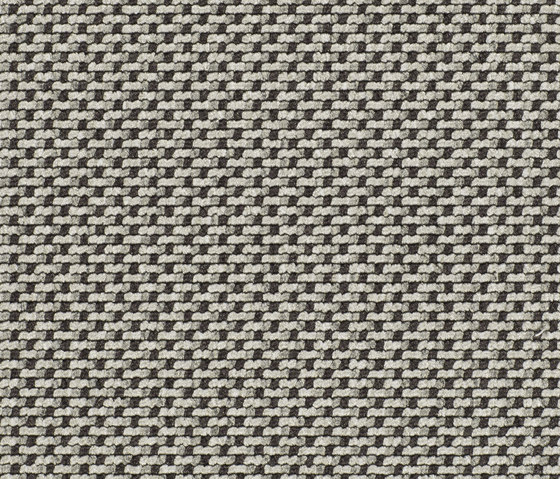 Lay 53429 | Moquette | Carpet Concept
