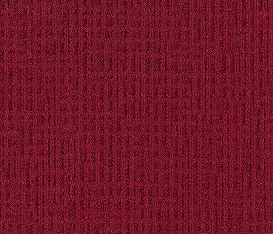 Monochrome 346717 Damson | Carpet tiles | Interface