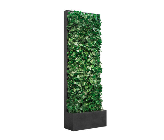 Grüne Wand® mobil 84 | Stellwände | art aqua