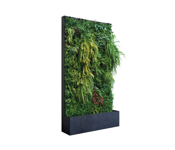 Grüne Wand® Panel Edition 124 | Privacy screen | art aqua