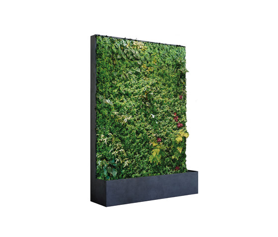Grüne Wand® Panel Edition 164 | Privacy screen | art aqua