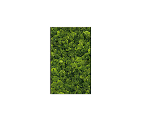 Moosbild Rectangle 60x100 cm | Murs végétaux | art aqua