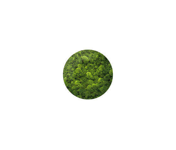 Moosbild Round ø 80 cm | Parades verdes / jardines verticales | art aqua