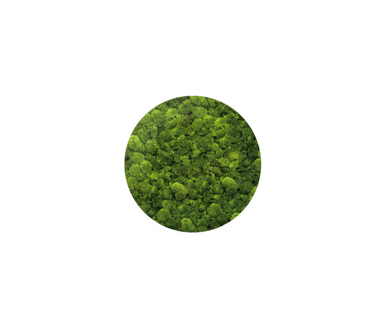 Moosbild Round ø 100 cm | Parades verdes / jardines verticales | art aqua
