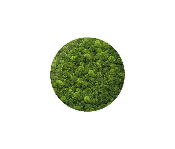 Moosbild Round ø 120 cm | Pareti vegetali | art aqua