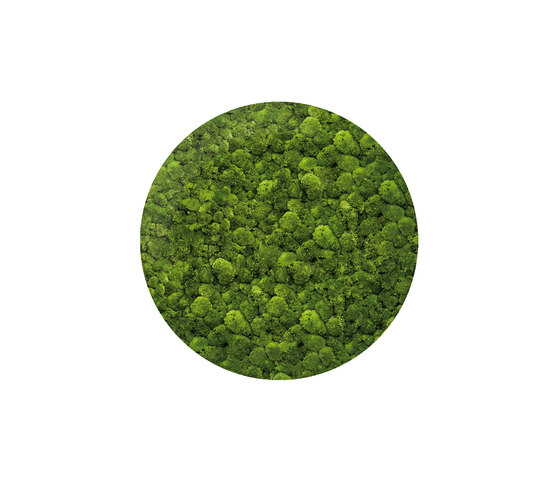 Moosbild Round ø 140 cm | Pareti vegetali | art aqua
