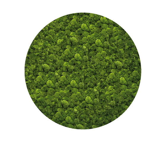 Moosbild Round ø 220 cm | Living / Green walls | art aqua