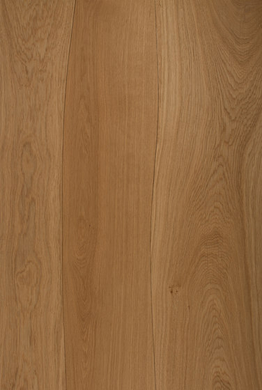 Veneer Surface Oak non-beveled | Wood panels | Boleform