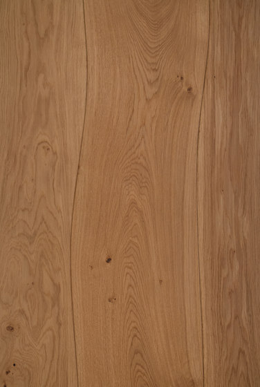 Veneered panel Oak for furniture manufacturing beveled | Wood panels | Boleform