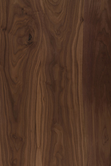 Worktop Walnut non-beveled | Wood panels | Boleform