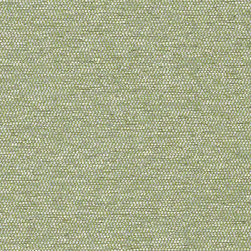 Glimmer 62463 Sage | Upholstery fabrics | CF Stinson