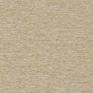 Glimmer 62465 Flax | Upholstery fabrics | CF Stinson