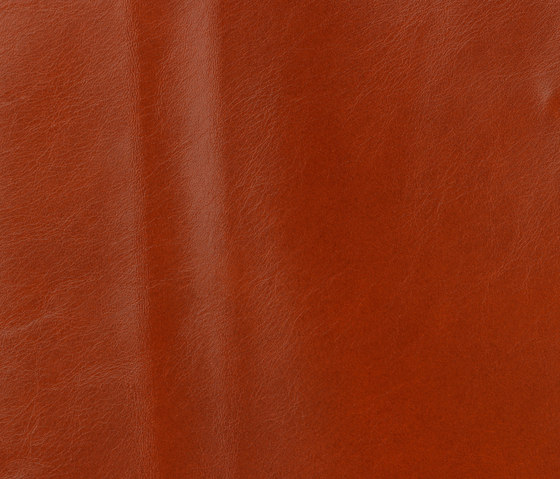 Classic 801 siena | Natural leather | Gruppo Mastrotto