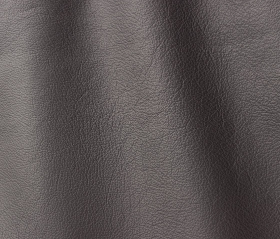 Roma 918 antracite | Natural leather | Gruppo Mastrotto