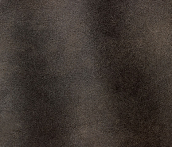 Sequoia 4004 carbone | Natural leather | Gruppo Mastrotto