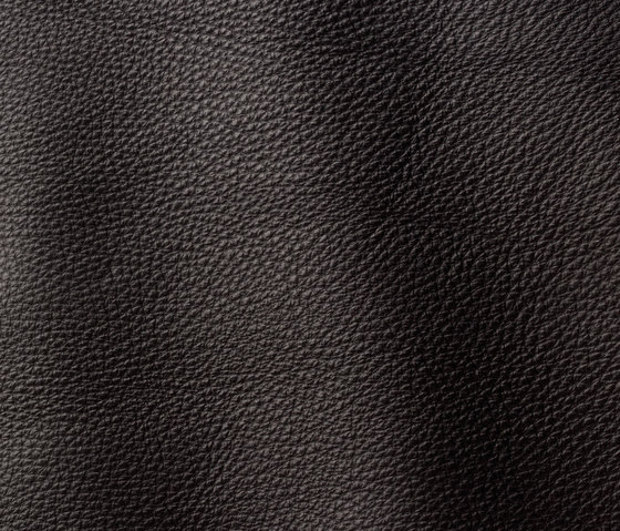Prescott 293 ebony | Natural leather | Gruppo Mastrotto