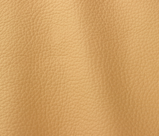 Atlantic 515 giallo | Natural leather | Gruppo Mastrotto