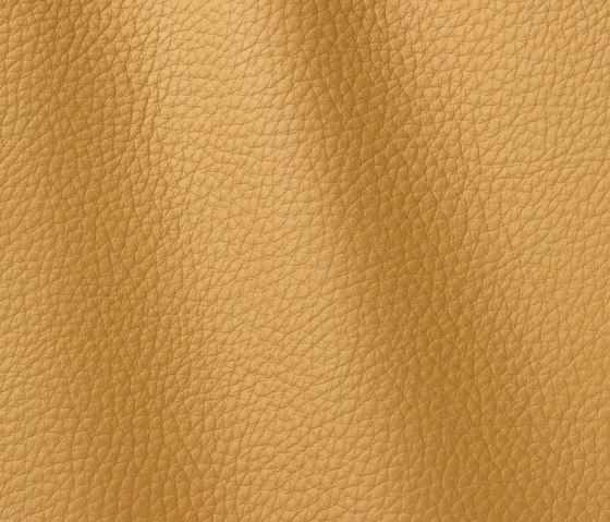 Atlantic 534 senape | Natural leather | Gruppo Mastrotto