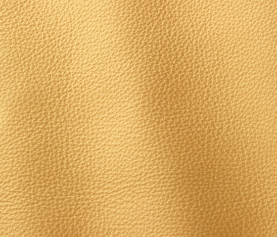Prescott 249 ciquita | Natural leather | Gruppo Mastrotto