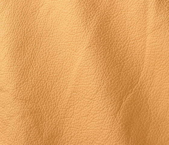 Ocean 409 giallo | Natural leather | Gruppo Mastrotto