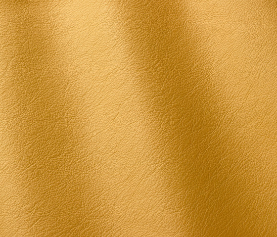 Linea 619 giallino | Vero cuoio | Gruppo Mastrotto