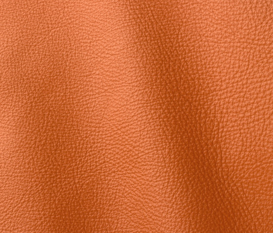 Prescott 246 claw | Natural leather | Gruppo Mastrotto