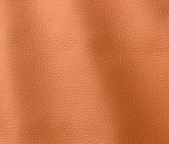 Ocean 412 arancio | Natural leather | Gruppo Mastrotto