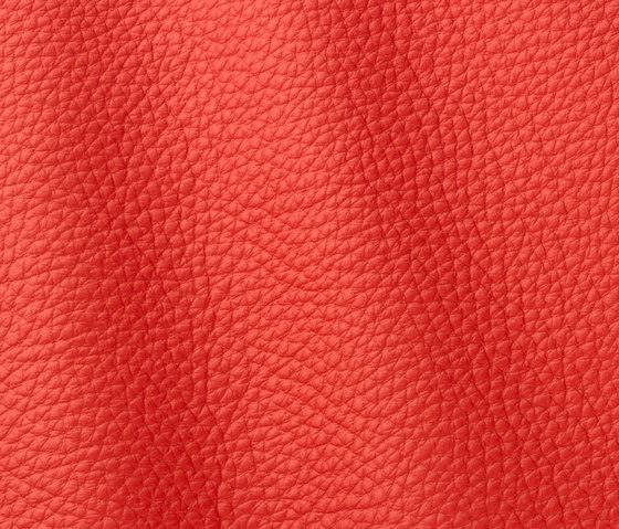 Atlantic 537 new ferrari | Natural leather | Gruppo Mastrotto