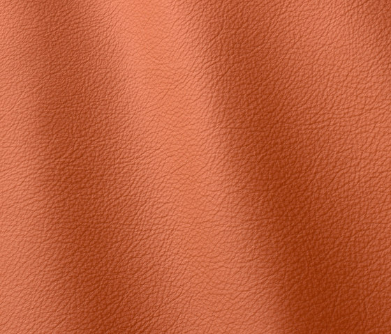 Linea 616 antic | Natural leather | Gruppo Mastrotto