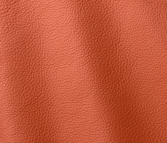 Ocean 433 vitamin | Natural leather | Gruppo Mastrotto